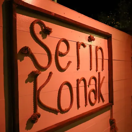 מלון Serin אלאקאטי